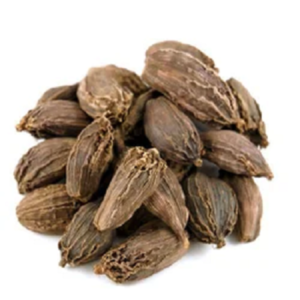 Black cardamom badi elaichi whole spice used in Indian cooking and traditional recipes