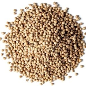 Coriander powder and whole coriander seeds (dhaniya) in bowl – Indian spice