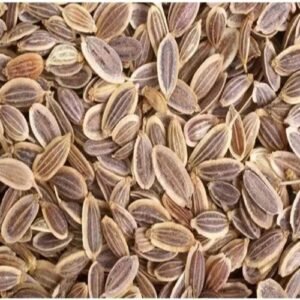 Premium Dill Seeds (Soya Beej) Aromatic Indian Spice Natural & Pure