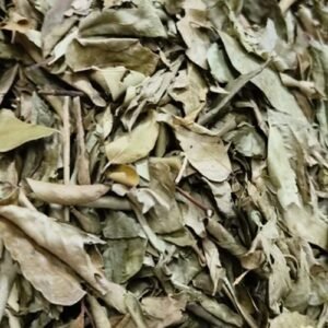 Premium Dry Curry Leaves (Kadi Patta) Natural Aromatic Indian Spice