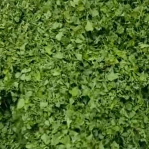 Kasuri Methi (Dried Fenugreek Leaves) – Premium Indian Spice for Flavorful Cooking