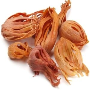 Premium mace spice javitri dried aril of nutmeg aromatic Indian whole spice for cooking,
