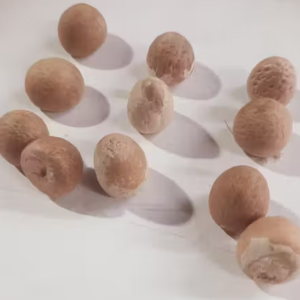 Natural supari betel nut for pooja used in Hindu rituals and religious ceremonies