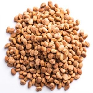 Premium chironji seeds for sweets, dry fruits, Ayurvedic use, and Indian cooking