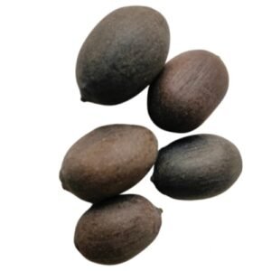 Kamal Gatta (Lotus Seeds) for puja, Lakshmi puja, and spiritual rituals