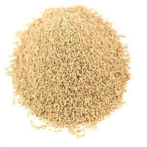Khas khas seeds (खसखस बीज/पोस्टो दाना/खुस खुस 50gm Rs 110) for Indian cooking, sweets, and traditional recipes