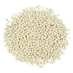 Safed Mirch white pepper Dakhani Mirch whole spice for cooking and seasoning