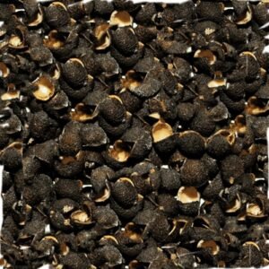 Teppal Tirphal spice dried Sichuan pepper for Maharashtrian and coastal Indian cooking