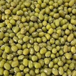 Whole green moong dal green gram unpolished lentils for cooking and nutrition
