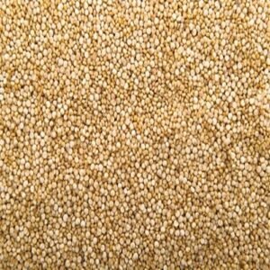 Whole quinoa seeds healthy superfood grains for cooking and nutritious meals